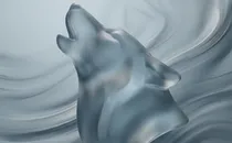 Das Lone-Wolf-Problem