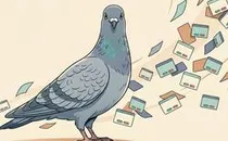 Die Taube sieht besser